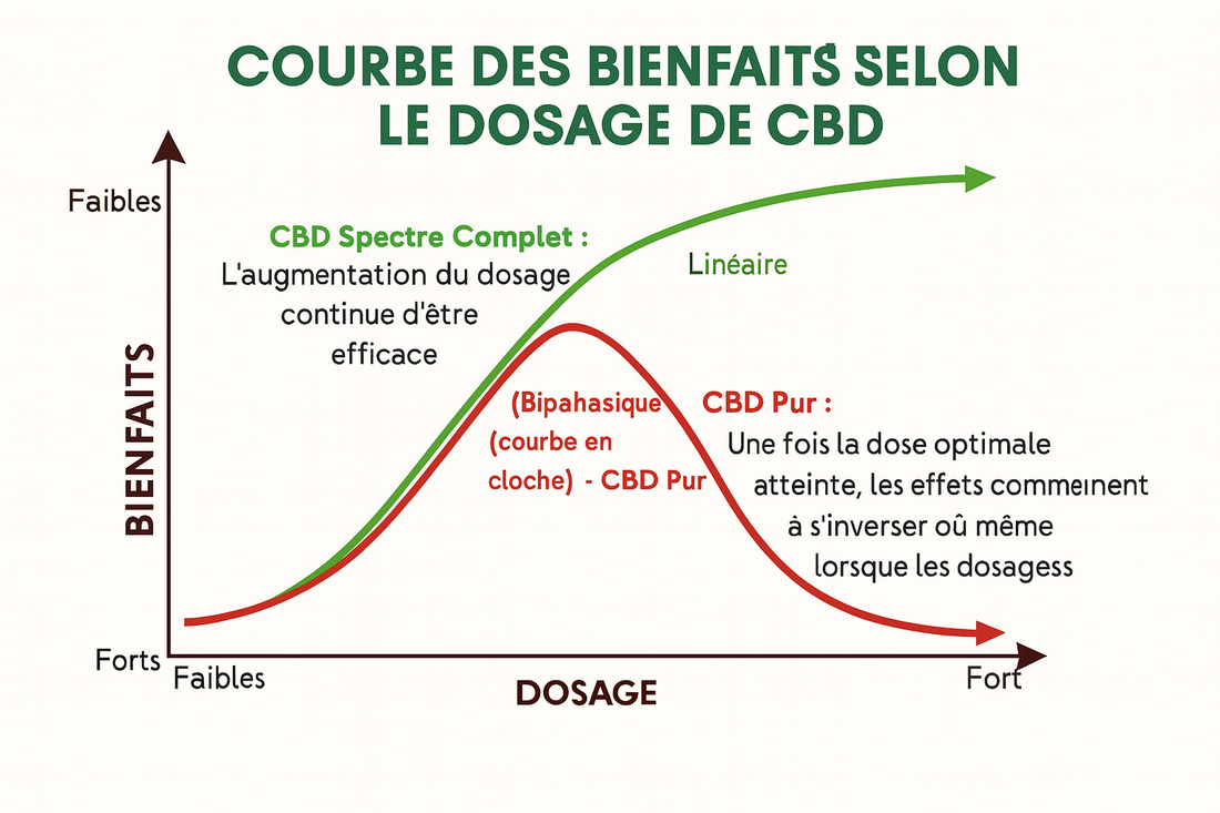 C’est quoi une huile de CBD spectre complet (full spectrum) ?