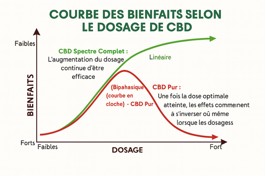 C’est quoi une huile de CBD spectre complet (full spectrum) ?