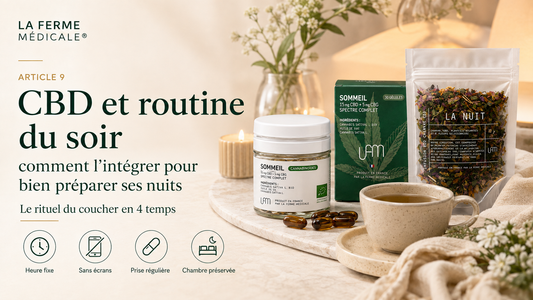 CBD et routine du soir : comment l’intégrer pour bien préparer ses nuits