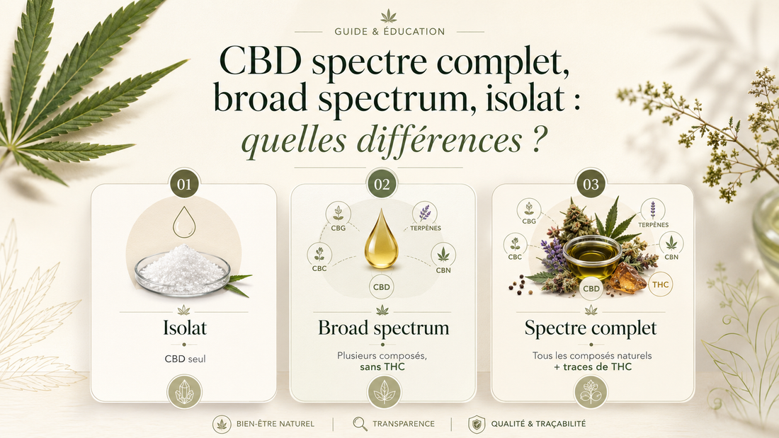CBD spectre complet, broad spectrum, isolat : quelles différences ?
