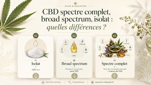 CBD spectre complet, broad spectrum, isolat : quelles différences ?