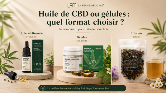 Huile de CBD ou gélules : quel format choisir selon votre profil ?