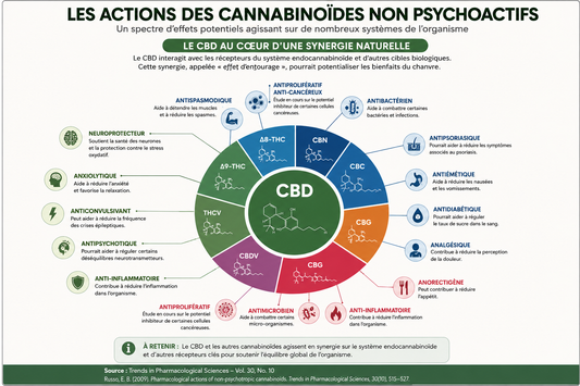 Huile CBD spectre complet : pourquoi les cannabinoïdes naturels intéressent autant la science ?