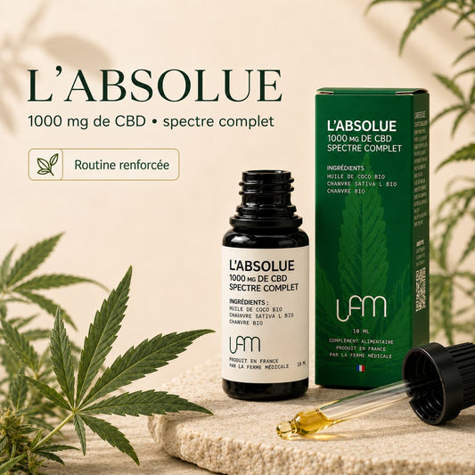 Huile CBD | L'Absolue