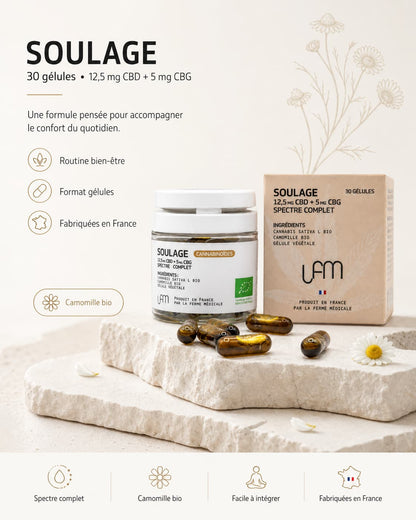 CBD Capsules | CBD + CBG + Chamomile Relief – 30 units