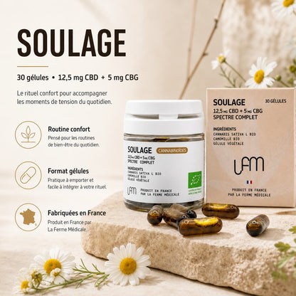 CBD Capsules | CBD + CBG + Chamomile Relief – 30 units