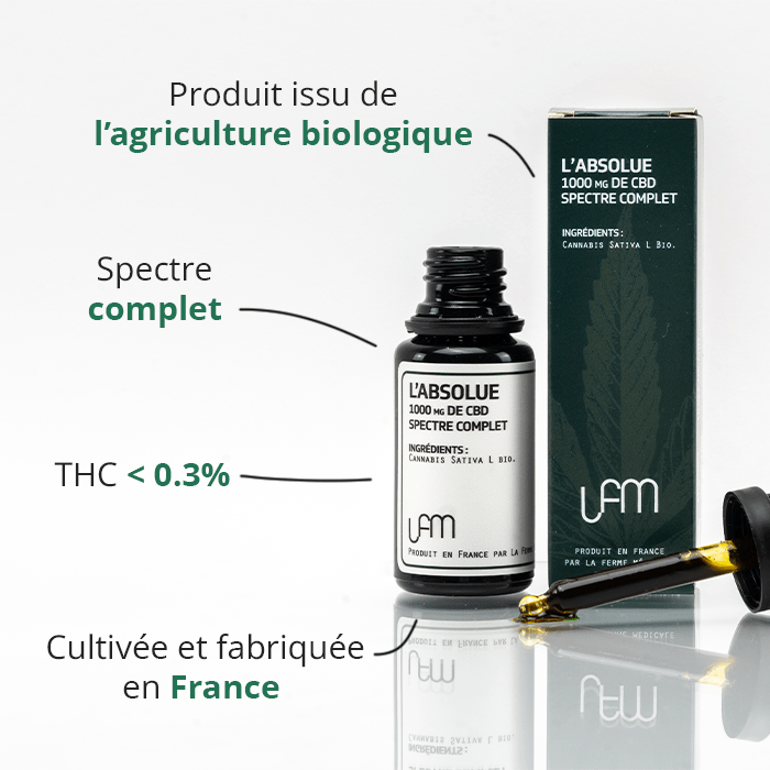 Huile CBD | L'Absolue