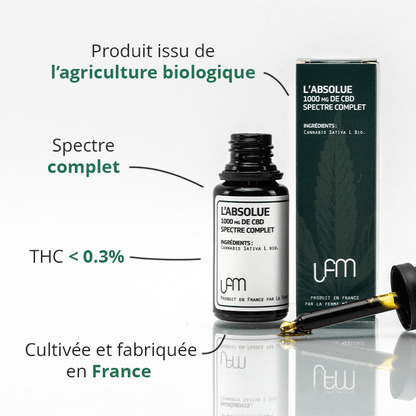 Huile CBD | L'Absolue